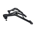 S10 Coil Over with Low Pro Lowers - Image 2